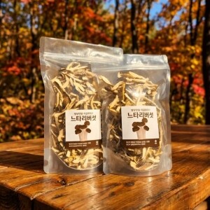 여우골버섯농장 말린느타리버섯 100g